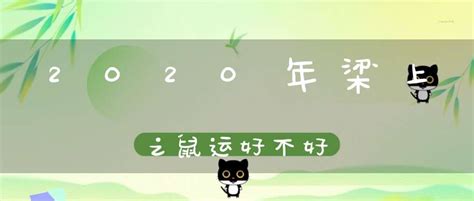 2020鼠年五行